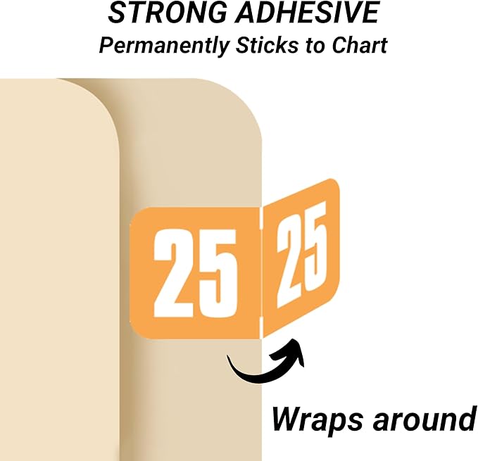 2025 Year Labels, Doctor Stuff 2025 Chart Stickers, Light Orange Color Coded, Safeguard Style, USA Made Year Stickers for End Tab File Folders, 500/Roll, 1 Roll, 3/4" x 1-1/2"