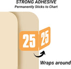 2025 Year Labels, Doctor Stuff 2025 Chart Stickers, Light Orange Color Coded, Safeguard Style, USA Made Year Stickers for End Tab File Folders, 500/Roll, 1 Roll, 3/4" x 1-1/2"