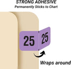 2025 Year Labels, Doctor Stuff 2025 Chart Stickers, Fluorescent Violet Color Coded, USA Made Year Stickers for End Tab File Folders, 500 Labels/Roll in a Dispenser Box, 3/4" x 1-1/2"