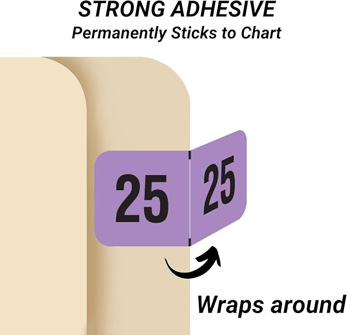 2025 Year Labels, Doctor Stuff 2025 Chart Stickers, Fluorescent Violet Color Coded, USA Made Year Stickers for End Tab File Folders, 500 Labels/Roll in a Dispenser Box, 3/4" x 1-1/2"