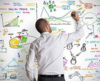 Remarkable Whiteboard Dry Erase Paint 50 ft² White Full Kit, Transforms Any Surface/Wall to a Whiteboard (18floz),from