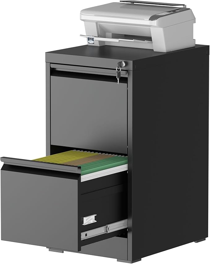 File Cabinet, 2 Drawer File Cabinet with Lock, Steel Vertical Filing Cabinets for Home Office, Heavy Duty File Storage Cabinet for Legal/Letter/A4 Documents, Easy to Assemble, Black