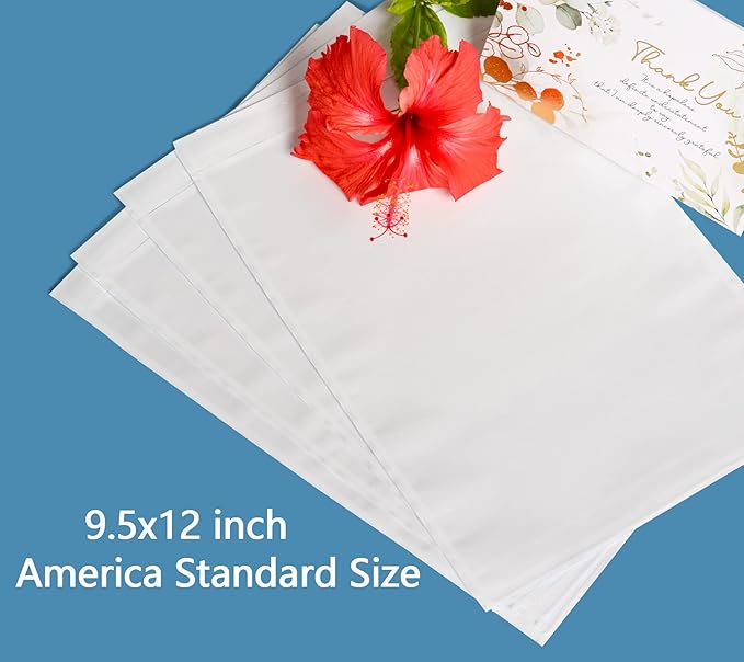 500pcs 9.5"x12" Packing List Envelopes Self-seal Packing Slip Envelope Pouches Shipping Label Sleeves Top Loading Packing List Enclosed Bags.