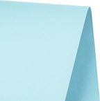RUSPEPA Light Blue Kraft Paper Roll - 12 inches x 100 feet - Natural Recyclable Paper Perfect for Easter Crafts, Art, Small Wrapping, Packing, Postal, Shipping, Dunnage & Parcel