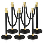 Black Stanchion, 5 ft Black Velvet Rope Red Carpet Ropes and Poles, Stainless Steel Stanchions Post Used for Theaters, Parties, Wedding, Exhibition, 6PCS