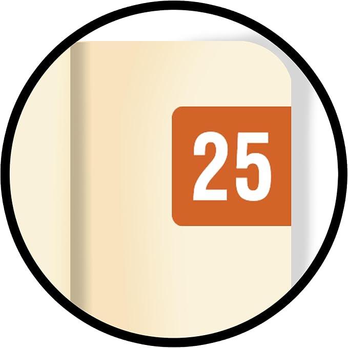 2025 MINI Year Stickers, Brown, Compatible with Smead ETS Series, Doctor Stuff 2025 Chart Stickers, USA Made Year Labels for End Tab File Folders, 250/Pack, 1 Package, 1/2" x 1" - Small Labels