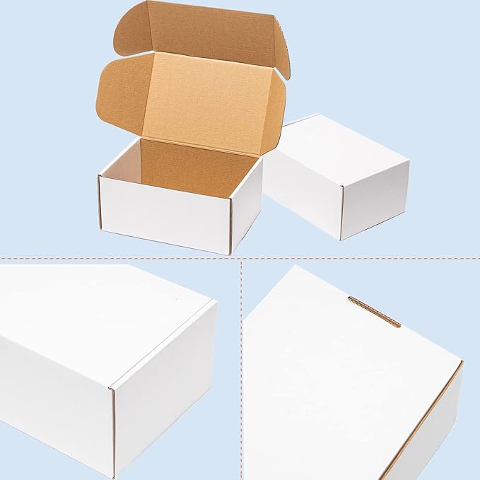 Shipping Boxes 12x9x4 Inches 20 Pack Corrugated Cardboard Mailing Boxes for Small Business - Medium White Literature Mailer Packaging Supplies