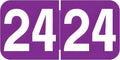2024 Year Stickers, Doctor Stuff 2024 Chart Stickers, Purple Color Coded, Ames/TAB Style, USA Made Year Labels for End Tab File Folders, 500/Roll, 1 Roll, 3/4" x 1-1/2"
