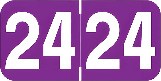 2024 Year Stickers, Doctor Stuff 2024 Chart Stickers, Purple Color Coded, Ames/TAB Style, USA Made Year Labels for End Tab File Folders, 500/Roll, 1 Roll, 3/4" x 1-1/2"