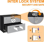 Lateral File Cabinet, Metal Filing Cabinet with Lock, 2 Drawer File Cabinets for Home Office, Office Cabinet for Hanging Files Letter/Legal/F4/A4, Assembly Required, Black Grey