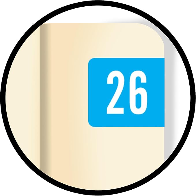 2026 Small Year Labels, Doctor Stuff 2026 Chart Stickers, Light Blue Color Coded, Tab Products Style, USA Made Year Stickers for End Tab File Folders, 500/Roll, 1 Roll, 1/2" x 1-1/8"