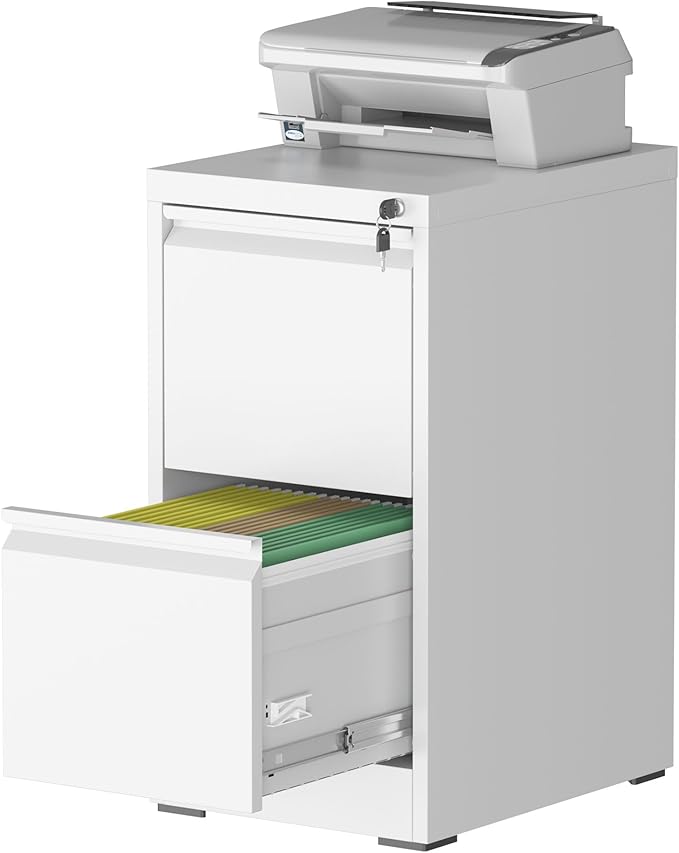 File Cabinet, 2 Drawer File Cabinet with Lock, Steel Vertical Filing Cabinets for Home Office, Heavy Duty File Storage Cabinet for Legal/Letter/A4 Documents, Easy to Assemble, White
