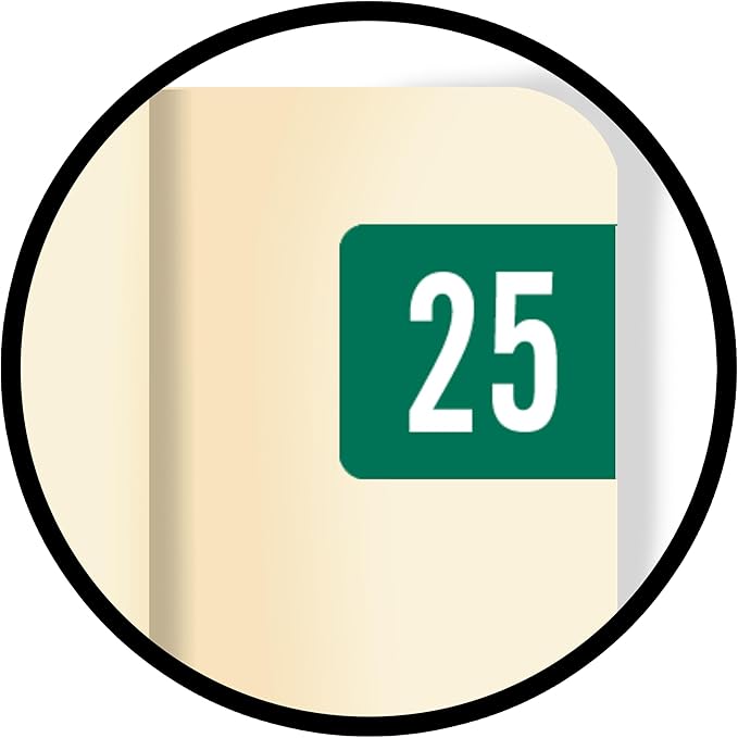 2025 Small Year Labels, Doctor Stuff 2025 Chart Stickers, Green Color Coded, Tab Products Style, USA Made Year Stickers for End Tab File Folders, 500/Roll, 1 Roll, 1/2" x 1-1/8"