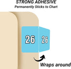 2026 Year Stickers, Doctor Stuff 2026 Chart Stickers, Light Blue Color Coded, Data File Style, USA Made Year Labels for End Tab File Folders, 500/Roll, 1 Roll, 15/16" x 1-1/4"