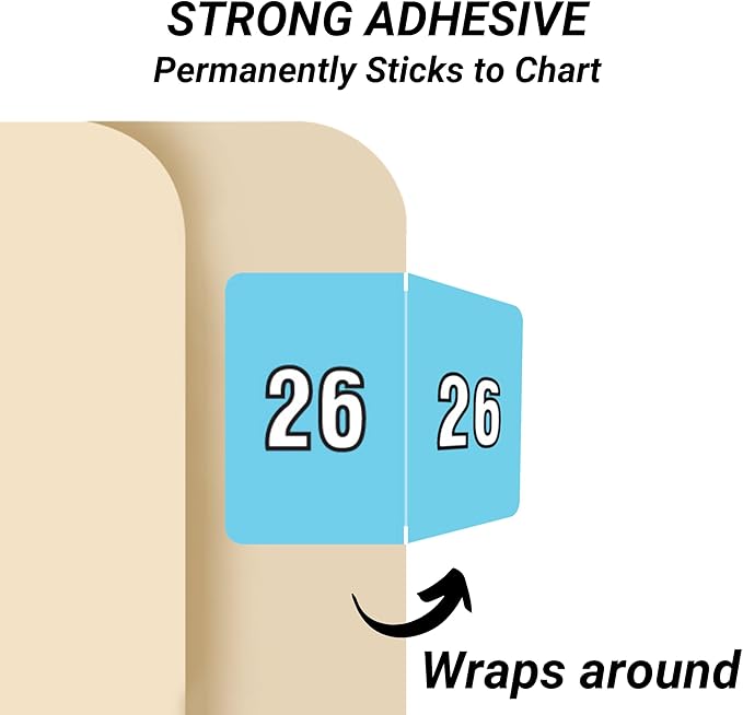 2026 Year Stickers, Doctor Stuff 2026 Chart Stickers, Light Blue Color Coded, Data File Style, USA Made Year Labels for End Tab File Folders, 500/Roll, 1 Roll, 15/16" x 1-1/4"