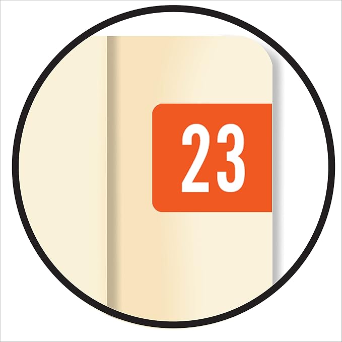 Doctor Stuff 2023 Year Stickers, Dark Orange, 500/Roll, 1/2" x 1-1/8", Medical Folder Labels, End Tab Stickers, Yearly File Labels