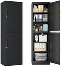 2 Door Metal Locker Cabinet, 19.7’’W Narrow Vertical Steel Storage Cabinet with Locking Door and 4 Adjustable Shelves, Garage Tool File Cabinets for Office, Kitchen, Bathroom, Black