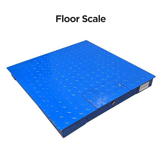 Industrial Floor Scale, 1000LB/0.5LB (24x24) with NETP Indicator