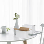 6x4x4 inches Shipping Boxes 30 Pack, Kraft Corrugated Small Cardboard Boxes for Mailing Packing, White