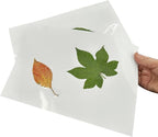 Coopaty Thermal Laminating Pouches, 9 x 11.5-Inches, 3 Mil Thick, Clear Laminating Sheets (200 Pack)