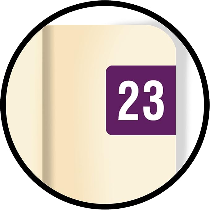 2023 MINI Year Stickers, Purple, Compatible with Smead ETS Series, Doctor Stuff 2023 Chart Stickers, USA Made Year Labels for End Tab File Folders, 250/Pack, 1 Package, 1/2" x 1" - Small Labels