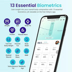 Etekcity Smart Scale for Body Weight, Digital Bathroom Weighing Machine Fat Percentage BMI Muscle, Accurate Composition Analyzer People, Bluetooth Electronic Measurement Tool, 400lb