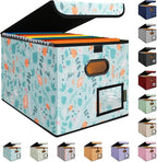 BALEINE File Organizer Box with Lid, Collapsible File Folder Organizer with Plastic Slide, Hanging File Folder Box for Office Document Storage (1 Pack, Spring Stroll)