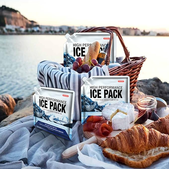 Reusable Ice Packs for Coolers Long Lasting Gel Freezer Packs for Cooler Bag Backpacks, Lunch Box, Cooler Bag, Keeps Food Cold Fresh (Small Set of 4)