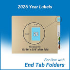 2026 Year Stickers, Doctor Stuff 2026 Chart Stickers, Light Blue Color Coded, Data File Style, USA Made Year Labels for End Tab File Folders, 500/Roll, 1 Roll, 15/16" x 1-1/4"