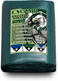 Heavy Duty Tarp Waterproof 12x16 Feet, 10 Mil Thick Green Poly Tarps Outdoor, Metal Grommets, Reinforced Edges, Multipurpose Tarpaulin Protective Cover for Camping, Boat, Swimming Pools, Car