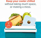 Healthy Packers Reusable Ice Packs for Lunch Boxes - Long Lasting Slim Freezer Packs, Thin Non-Toxic BPA-Free Hard Gel Ice Blocks for Coolers, Kids & Adults Lunch Bags, Travel, Camping, Food Storage