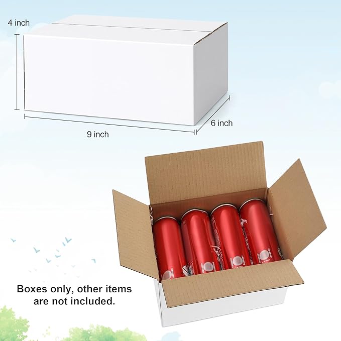 Famagic 10 Pack 9x6x4 Inch Small Shipping Boxes White Corrugated Cardboard Boxes Mailer for Small Business, Mailing Boxes for Packaging Bulk