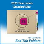 2025 Year Labels, Doctor Stuff 2025 Chart Stickers, Fluorescent Pink Color Coded, USA Made Year Stickers for End Tab File Folders, 500 Labels/Roll in a Dispenser Box, 3/4" x 1-1/2"