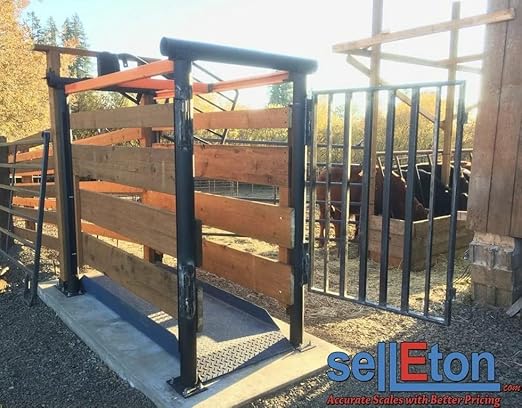 SellEton SL-929 Livestock & Cattle Alleyway Scale with The Size XL-8’ x 48" | 5000 lbs x 1 lb