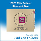 2025 Year Stickers, Doctor Stuff 2025 Chart Stickers, Holographic Fuchsia Colored, USA Made Year Labels for End Tab File Folders, 500 Labels per Roll, 1 Roll, 3/4" x 1-1/2"