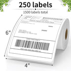 FungLam 6 Rolls 4"x6" Thermal Shipping Labels, 250 Labels/1 Roll, 1" Core, Perforated, Address Mailing Shipping Labels Compatible with JADENS,Rollo, Zebra,iDPRT.
