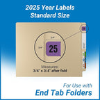 2025 Year Labels, Doctor Stuff 2025 Chart Stickers, Fluorescent Violet Color Coded, USA Made Year Stickers for End Tab File Folders, 500 Labels/Roll in a Dispenser Box, 3/4" x 1-1/2"