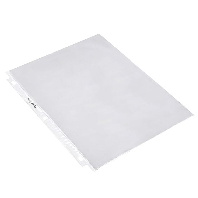 Amazon Basics Sheet Protectors for 3 Ring Binder, Heavyweight, Polypropylene, 8.5 x 11 Inch, 100-Pack, Clear