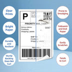 Compatible Direct Thermal Labels Replacement for Dymo 30323 (2-1/8" x 4") 12 Rolls Shipping Labels - Use with Labelwriter 450, 450 Turbo, 4XL Printers