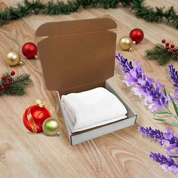 8x6x3 inch Shipping Boxes Set of 25,White Corrugated Cardboard Box for Mailing Literature Mailer Small Business Packing Gifts Shipping Packaging Craft Giving Products (8 x 6 x 3 Inches)