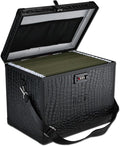 File Storage Cabinet File Organizer Document Organizer File Box in Office and Home with Combination Lock with 20 Letter Size Hanging Files (Aligator Black)