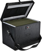 File Storage Cabinet File Organizer Document Organizer File Box in Office and Home with Combination Lock with 20 Letter Size Hanging Files (Aligator Black)
