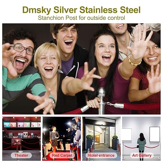 Stainless Steel Stanchion Post Queue,5 ft Red Velvet Rope Red Carpet Ropes and Poles Crowd Control Barriers,Sand Injection Hollow Base and Velvet Ropes Set for Party Supplies (4 Pieces, Silver)