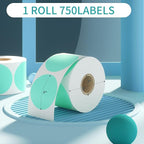 CLASSY Thermal Sticker Labels - 750 Multi-Purpose Stickers/1 Roll, Name Tag, Small Business, Inventory, Color Coding, Green