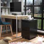 METAN 2 Drawer File Cabinet with Lock, Mobile Under Desk Filing Cabinet for Office Legal/Letter Size, Fully Assembled Except Wheels,Black