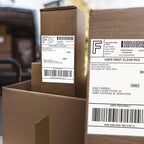 FungLam 100 Rolls 4x6 Direct Thermal Shipping Labels, 250 Labels Per Roll, 1" Core, Perforated, White Mailing Postage Shipping Label Compatible with Zebra 2844 ZP-450 ZP-500 ZP-505