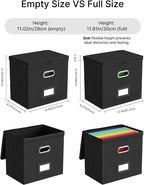 Oterri 1 Pack File Organizer Boxes with Lids, File Box with Mesh Pockets, Document Organizer Box for File Folders Letter Size, Zippers Filing Box for Home, Office, School (Black, Without Folders)