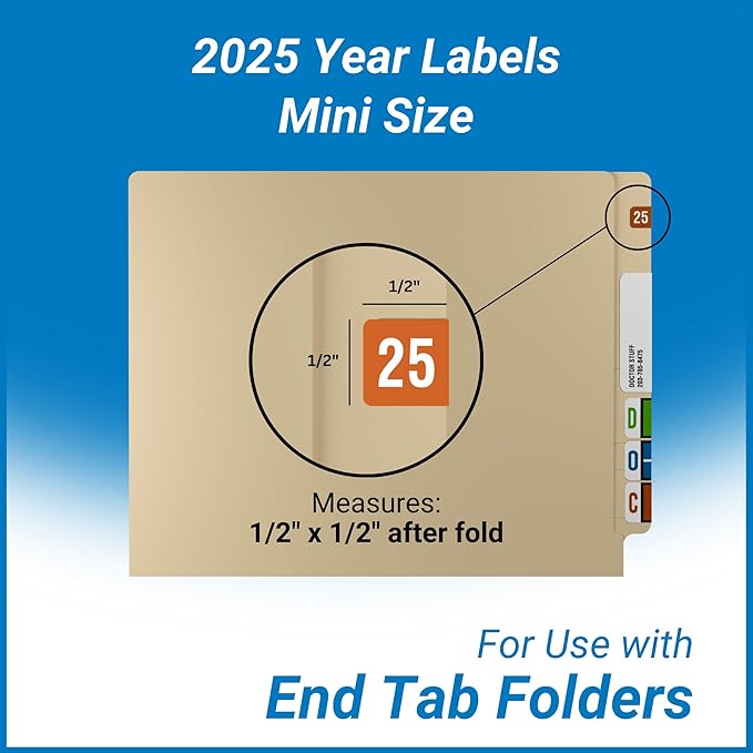 2025 MINI Year Stickers, Brown, Compatible with Smead ETS Series, Doctor Stuff 2025 Chart Stickers, USA Made Year Labels for End Tab File Folders, 250/Pack, 1 Package, 1/2" x 1" - Small Labels