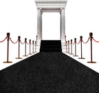 450 GSM Extra Thick Waterproof Black Carpet Runner for Events Decorations, 3X20 Ft Not Slip Black Runner Aisle Runway Rug for Wedding, Party, Banquet, Activity Entrance and Special Events Decorations