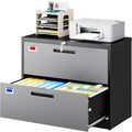 2 Drawer File Cabinet, Lateral Filing Cabinets for Home Office, Office Storage Drawers with Lock, Hanging Files Legal/Letter A4 Size (Assemble Required,Black Grey)